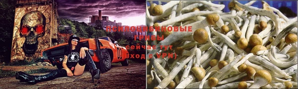 ALPHA PVP Алзамай
